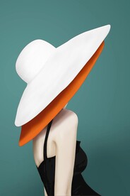 爱马仕美女装饰画