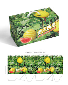西瓜包装 