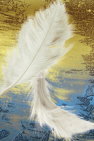 装饰画 晶瓷画 羽毛