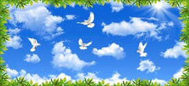 蓝天白云鸽子绿叶
