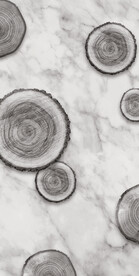 装饰画 晶瓷画 树轮