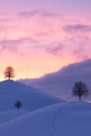 60X90客厅装饰画油画素材