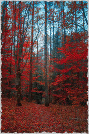 60X90卧室装饰油画可印刷