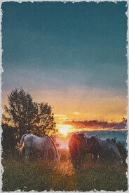 60X90卧室装饰油画可印刷