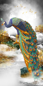 装饰画 晶瓷画 孔雀