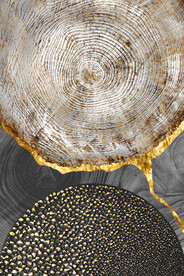 晶瓷画 装饰画 树轮