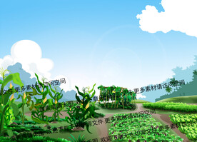 菜园  玉米 茄子 丝瓜