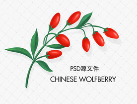 手绘枸杞