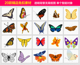 蝴蝶免抠素材