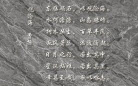 大理石纹 观沧海诗词