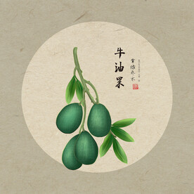 手绘牛油果
