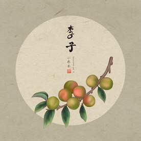 手绘李子