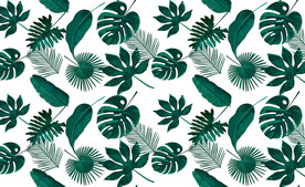 热带植物无缝图