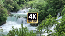 短视频素材森林中的溪流