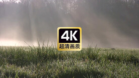 风景素材晨光照射在草地上