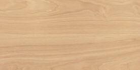 最新实木木纹大图 TIF合层