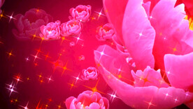 浪漫爱情片头素材