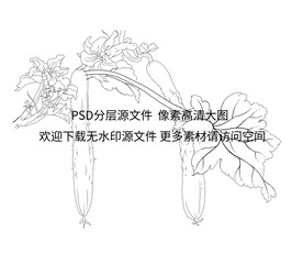 黄瓜插画