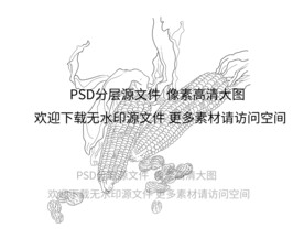 玉米 花生插画