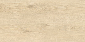 现代 地板高档木纹 文件合层 