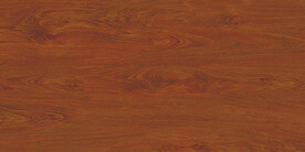 现代 简约清晰木纹 文件合层 