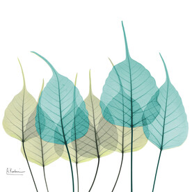 装饰画 晶瓷画 树叶