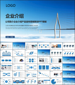 公司简介产品宣传营销方案PPT