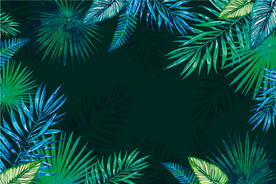 矢量热带绿叶背景边框