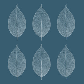 装饰画 晶瓷画 叶子