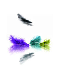 装饰画 晶瓷画 羽毛