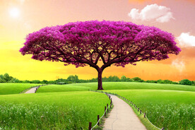 装饰画 晶瓷画 紫色树 草地