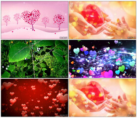 谢谢你 手语表演 舞台背景视频