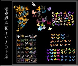 炫彩蝴蝶花朵CAD图库