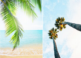 装饰画 晶瓷画 椰树