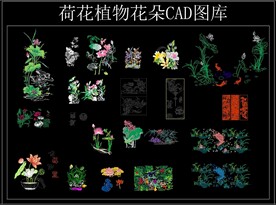 荷花植物花朵CAD图库