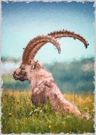 5070数字油画装饰画草原角羊