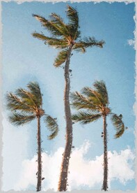 5070数字油画装饰画热带椰树