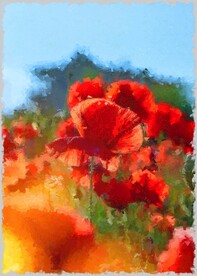 50X70数字油画装饰画野花