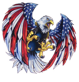 美国国旗 美旗 鹰 做旧 3D