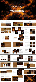 产品项目PPT