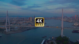 短视频素材薄雾中的跨海大桥