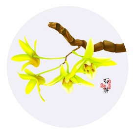 手绘石斛花