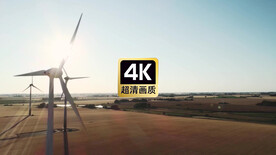 短视频素材航拍稻田风力发电机