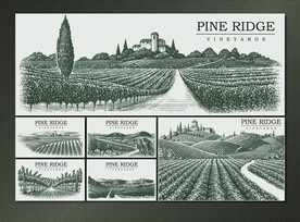 矢量手绘传统葡萄农庄系列