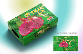 火龙果包装 