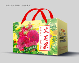 火龙果包装