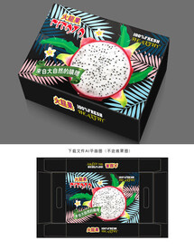 火龙果包装