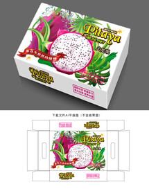 火龙果包装 