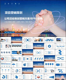 商务会议汇报项目介绍PPT