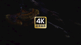 短视频素材树荫下的灵芝草